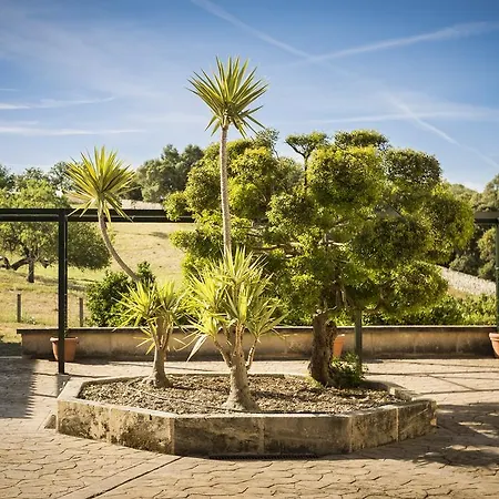 Son Rebassa * Petra (Mallorca)