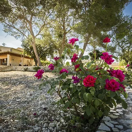 Son Rebassa Ferienhaus *